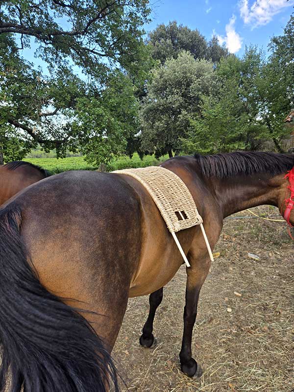 scelle-cheval-test-3.jpg